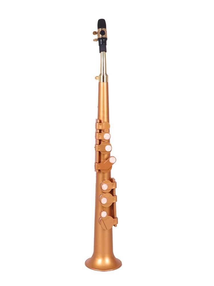 Musical Instrument Reed - Littlesax-Saxophone de poche avec sac et