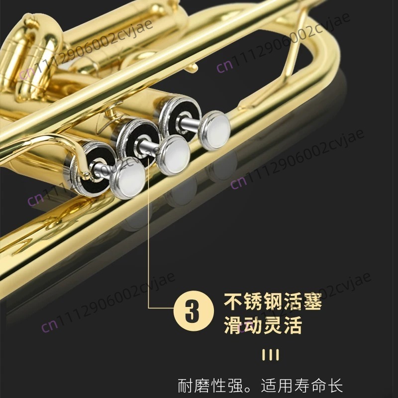 Trompette Jinbao JBTR-300 Si b - Musical Instrument Drum avis et prix