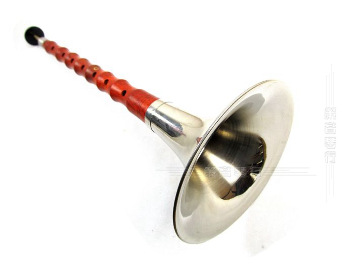 Suona Shanai en bois de rose d - Musical Instrument Zurna avis et prix
