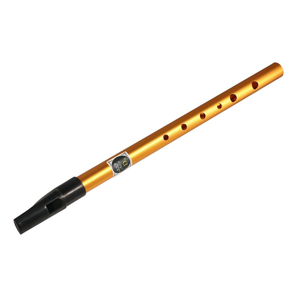 Accessoires musicaux : Flûte i - Musical Instrument Irish avis et prix