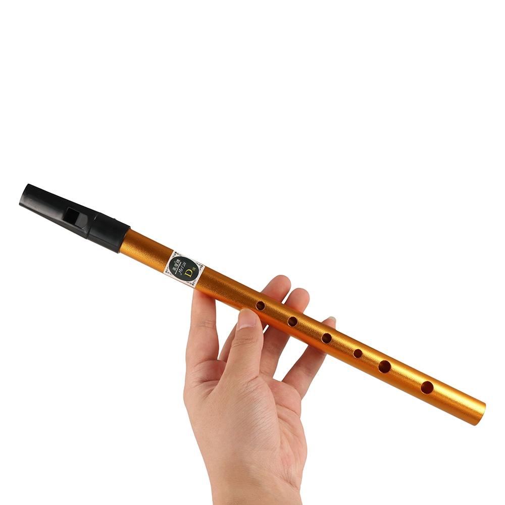 Accessoires musicaux : Flûte i - Musical Instrument Irish avis et prix