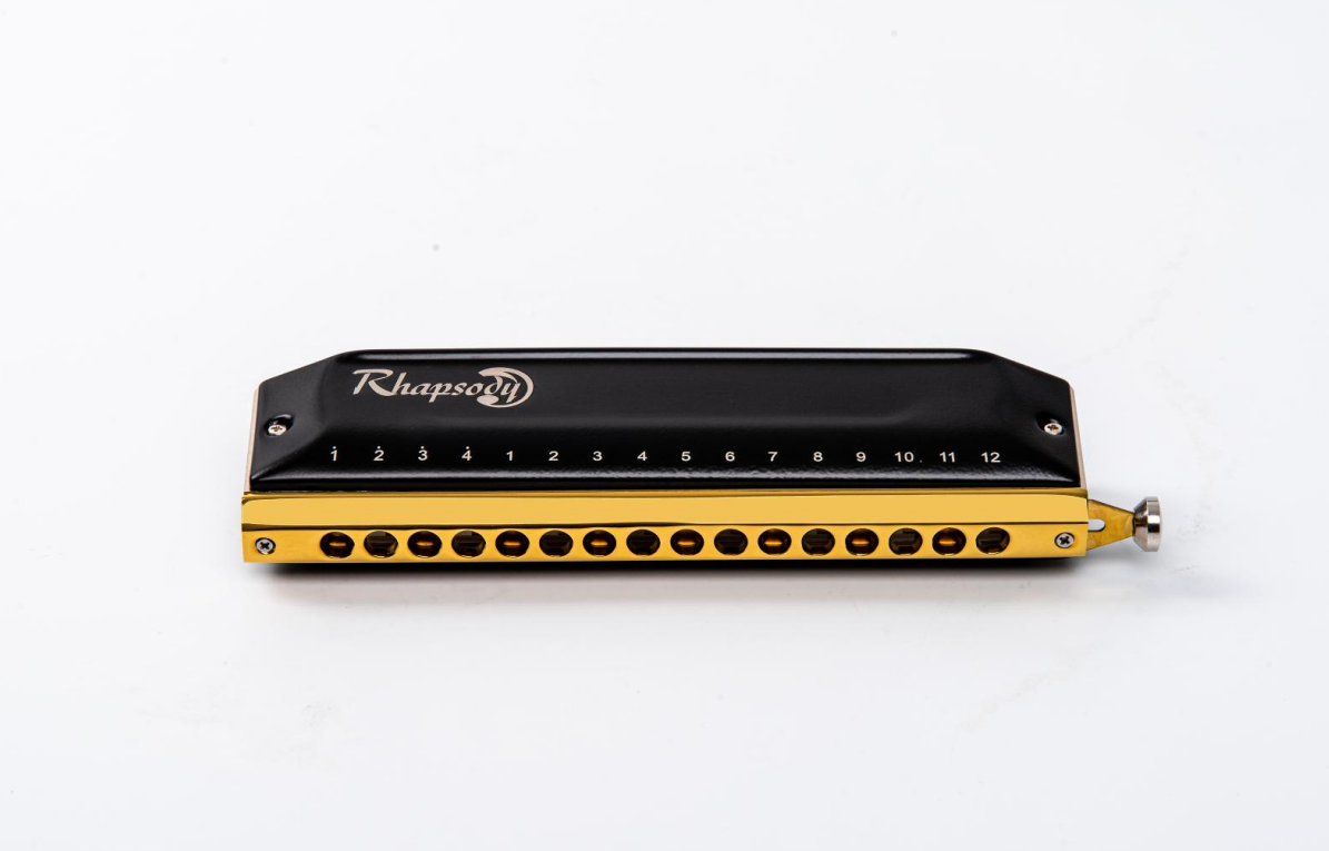 Peigne Harmonica chromatique A - Musical Instrument Reed avis et prix