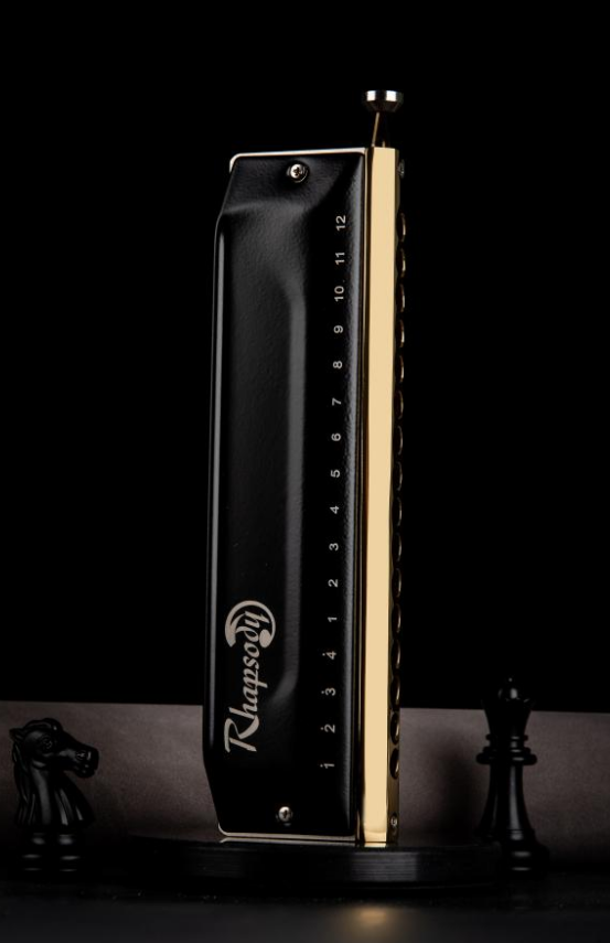 Peigne Harmonica chromatique A - Musical Instrument Reed avis et prix