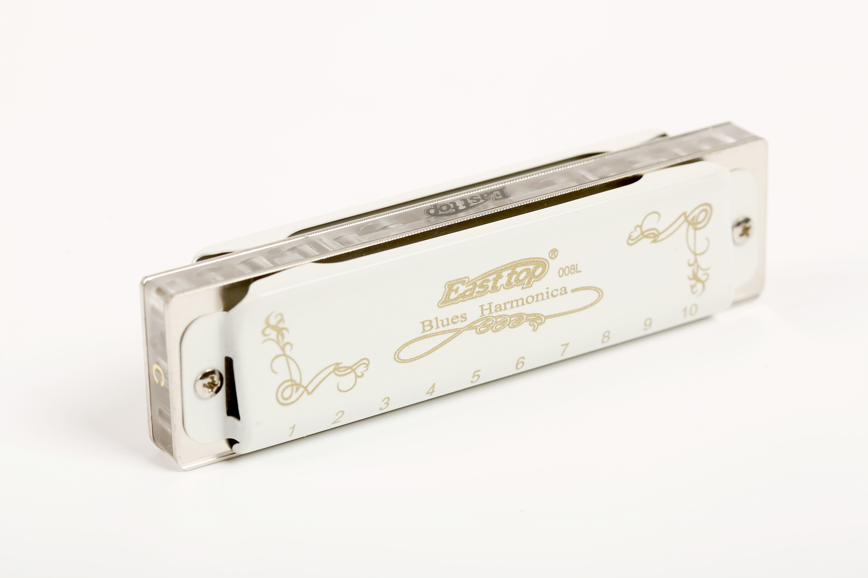 Harmonica diatonique à 10 trou - Musical Instrument Reed avis et prix