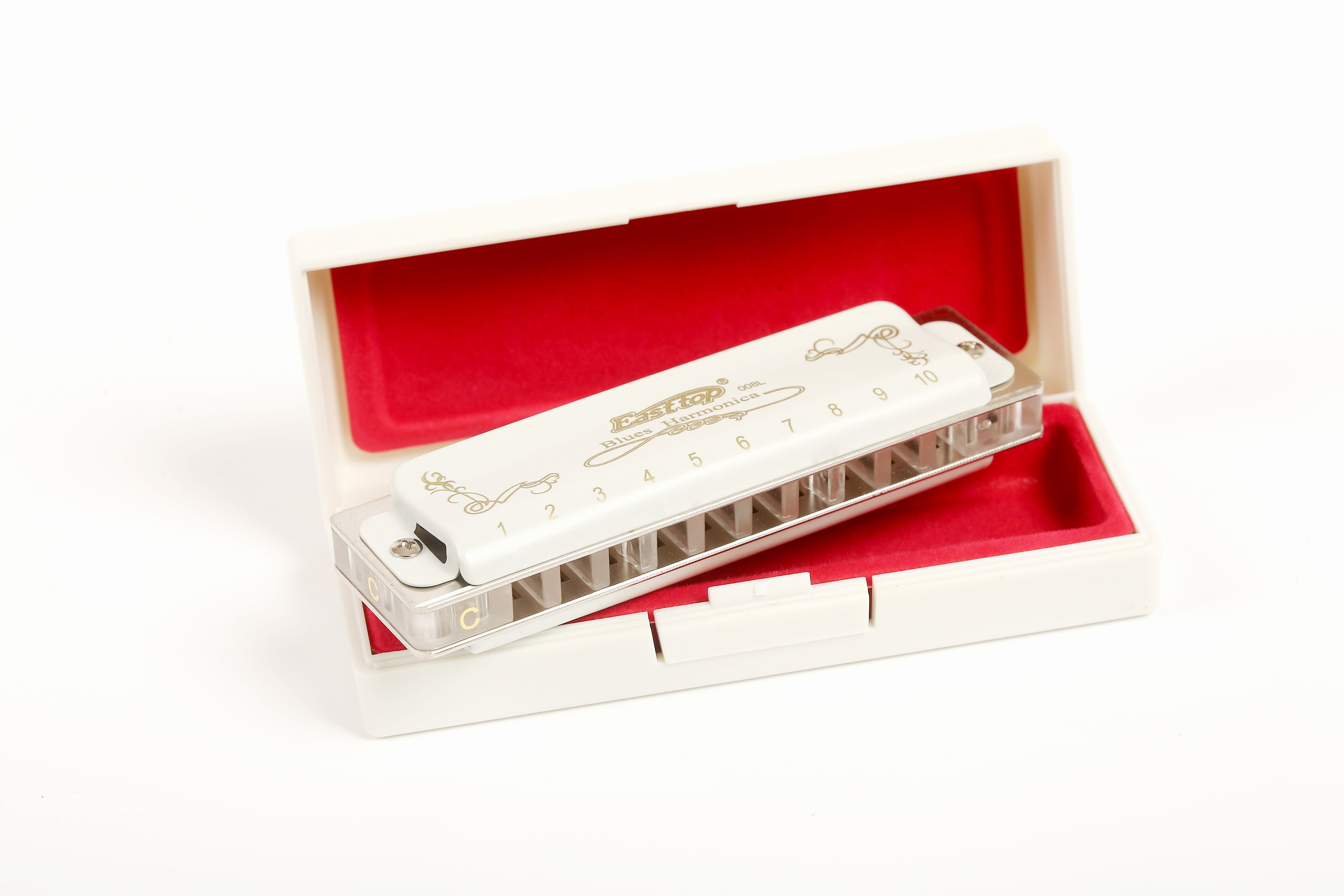 Harmonica diatonique à 10 trou - Musical Instrument Reed avis et prix