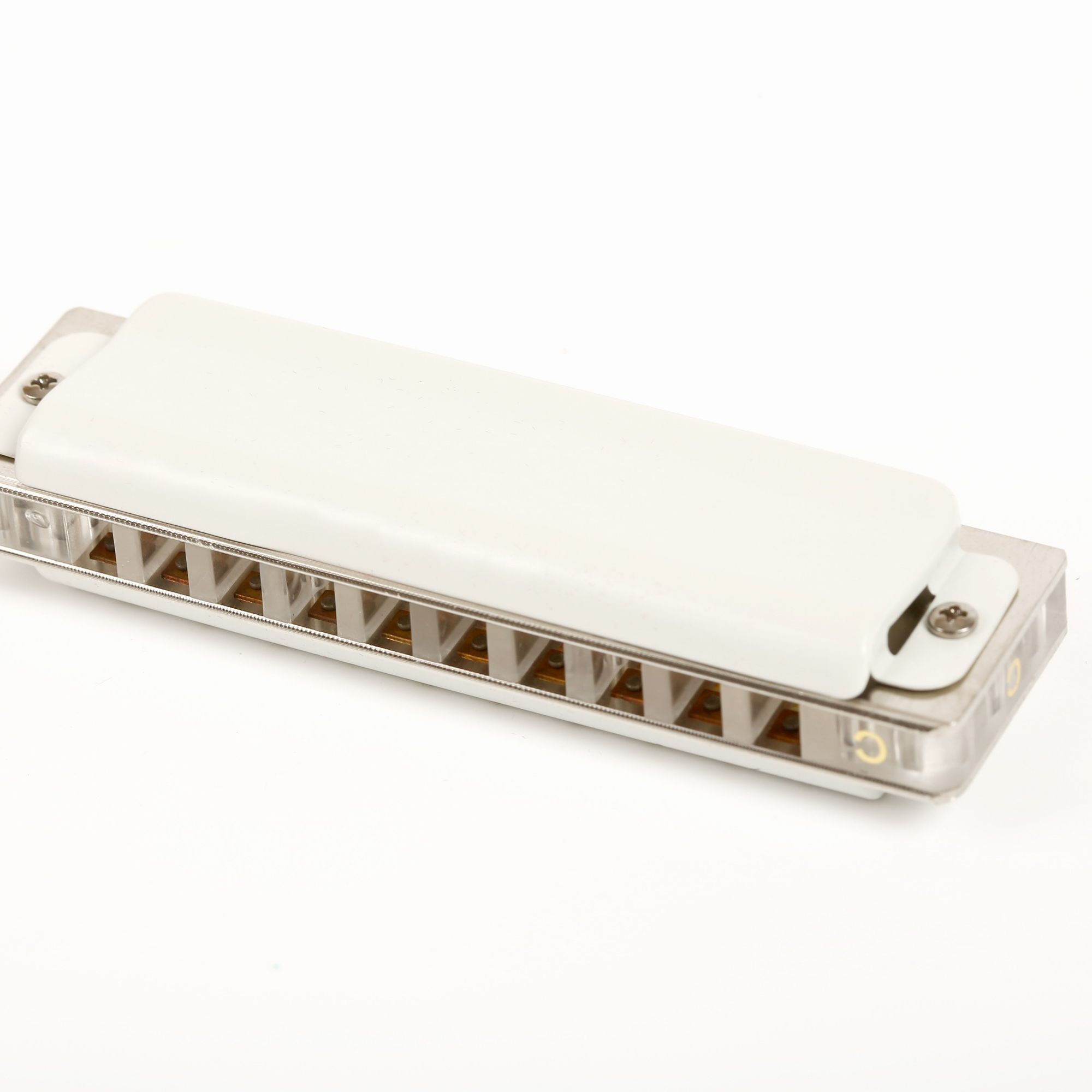 Harmonica diatonique à 10 trou - Musical Instrument Reed avis et prix