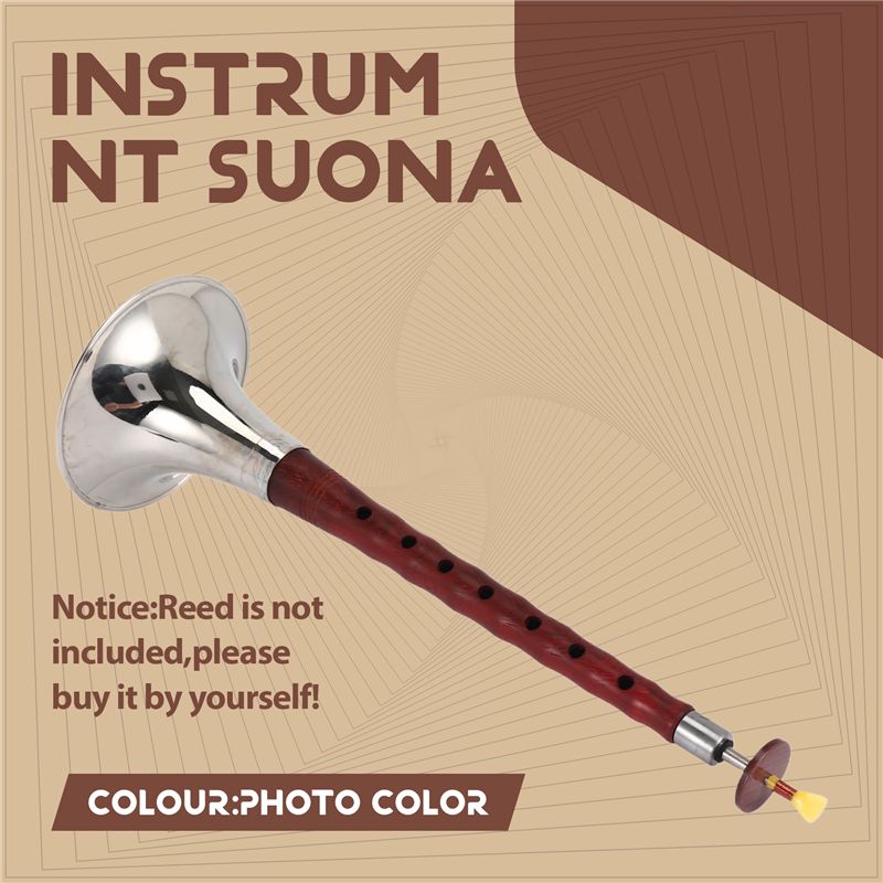 A12E-Instrument de musique fol - Musical Instrument Zurna avis et prix