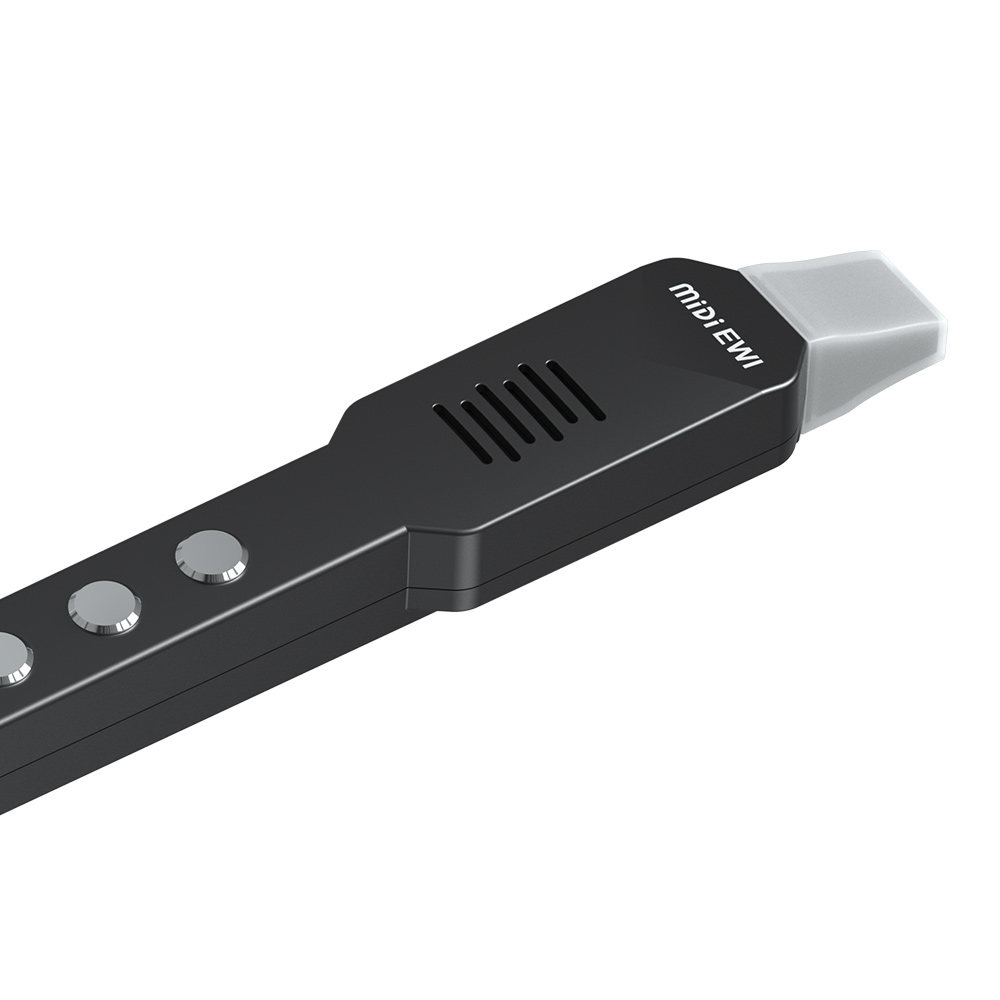 Petite flûte transversale élec - Musical Instrument Irish avis et prix